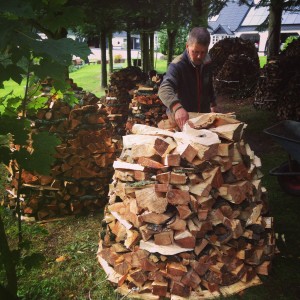 Comment protéger son tas de bois ? Nos conseils pour qu'il sèche bien