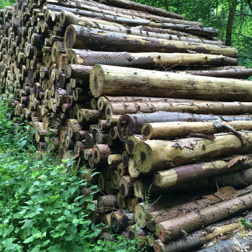Firewood Cord Cubic Metre Volume Firewood Cord Cubic Metre Volume